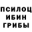 Галлюциногенные грибы Psilocybine cubensis NeoGeoo