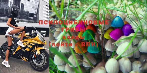 мяу мяу кристалл Покачи