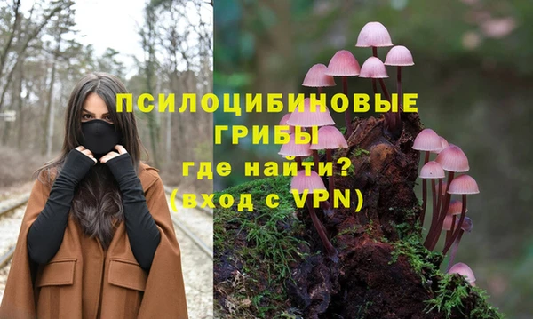 ешки Покровск