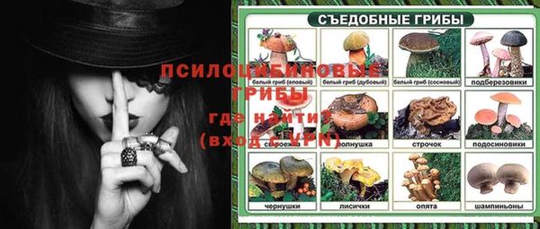 ГАЛЛЮЦИНОГЕННЫЕ ГРИБЫ Зеленокумск