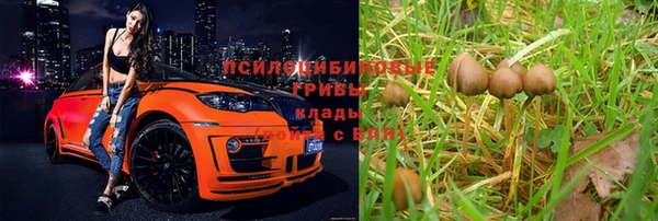 ешки Покровск